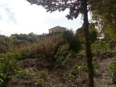 Photos of Doudou Mokhtar Garden