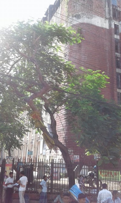 courthouse