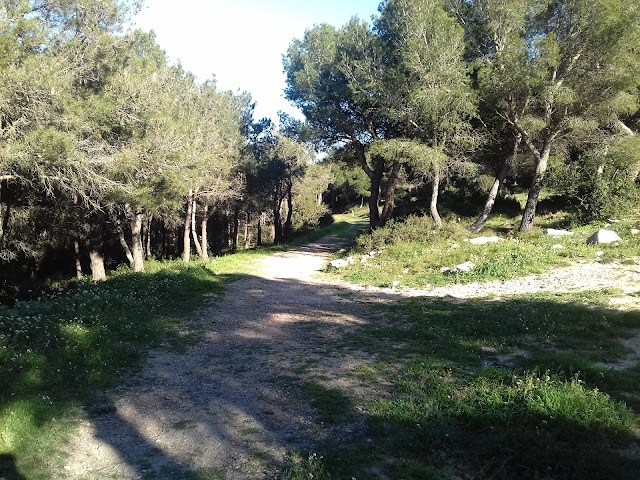 Forêt domaniale des Pierres Blanches