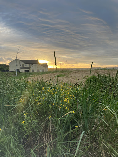 Sandhaven - Visual