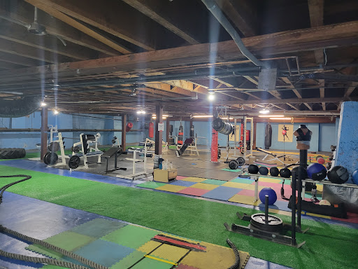 Flex House of Fitness - Thumbnail