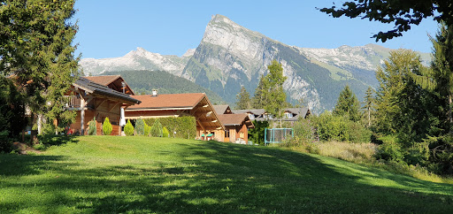 Mali's Parc - Thumbnail