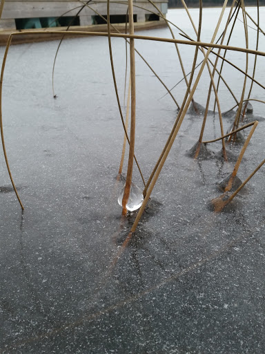 Skärsjön - Visual