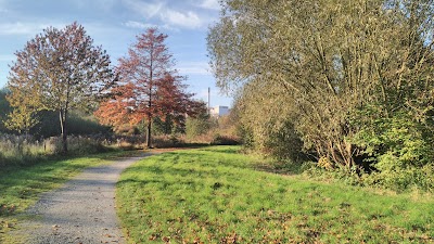 Photos of Paracelsus-Roswitha-Klinik Bad Gandersheim