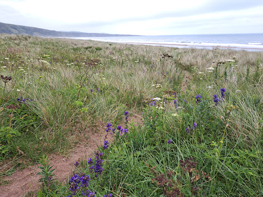 St. Cyrus National Nature Reserve (car park & visitor centre) - Thumbnail
