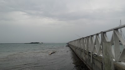 Photos of Marina ZarPar