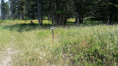 Livingston Peak Trailhead