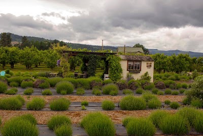 Hood River Lavender Farms