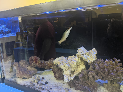 Fish World Spokane - Visual
