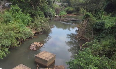 Photos of Pitagaldeniya Junction Bus Stop