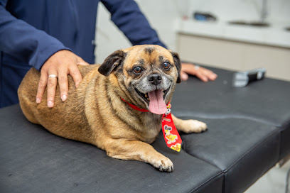 VitaeCor - Cardiologia Veterinária — Goiânia, GO