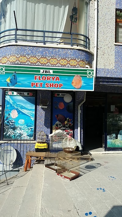 Florya Akvaryum Petshop