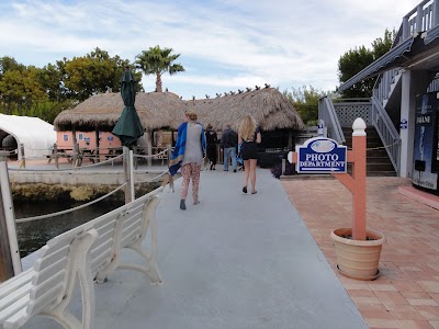 Photos of Dolphins Plus Oceanside