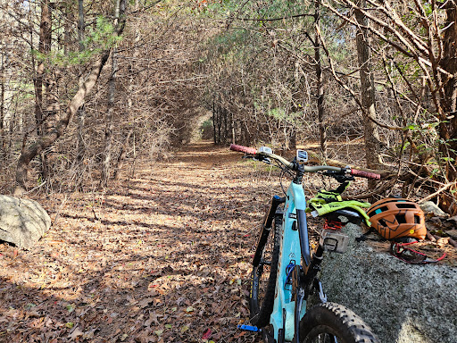 Quisset Wildlife Management Area - Thumbnail