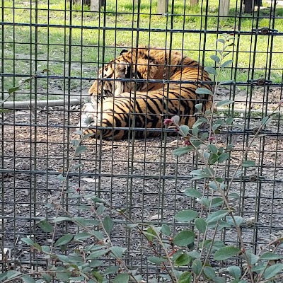 Hattiesburg Zoo