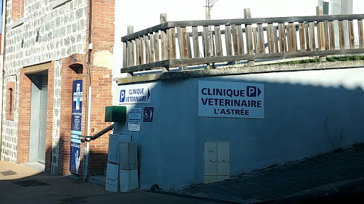 Cabinet Vétérinaire Médico-Chirurgical l'Astrée - Thumbnail
