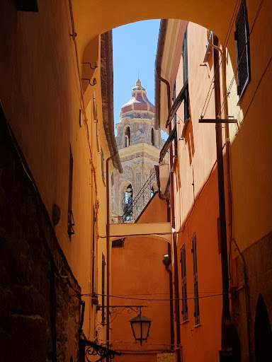 Cervo Vini - Visual