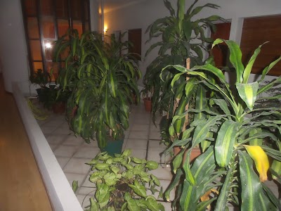 Photos of Internacional