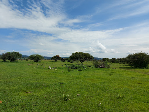El Mogote, Presa de López - Thumbnail