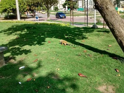 Photos of Tivoli Park
