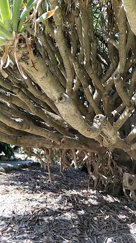 Jardim Botânico de Lisboa - Lisboa