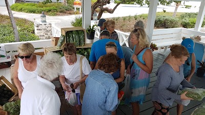 Photos of Orchid Bay Yacht Club and Marina