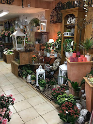 Photo n°2 de Arôme et Nature à Guémené-sur-Scorff (Magasin de jouets)
