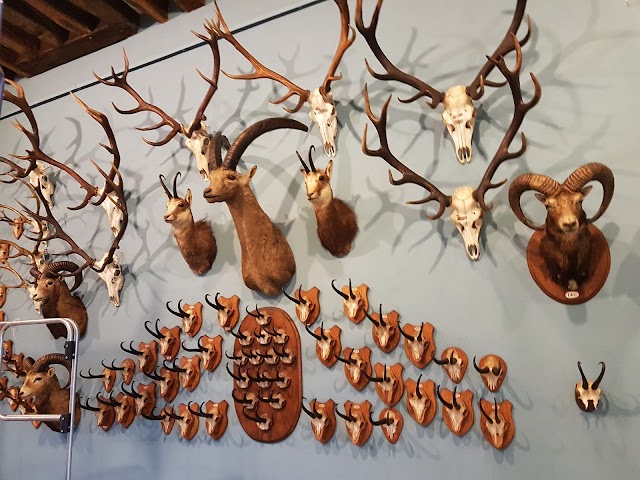 Musée international de la Chasse