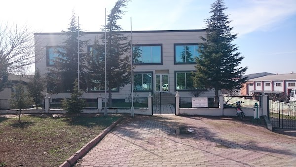Tekline, Merzifon — OSB 5.CAD NO14, 05300 Kümbethatun Osb/Merzifon