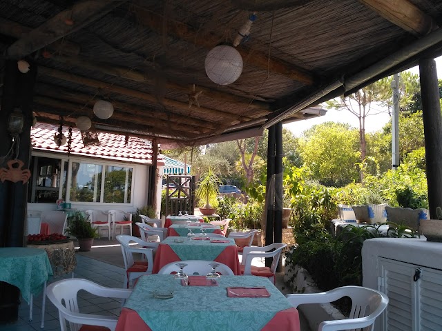 Ristorante Alberto
