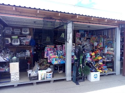 Photos of Panevezys Car Market