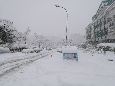 Photos of Camellia Bazaar
