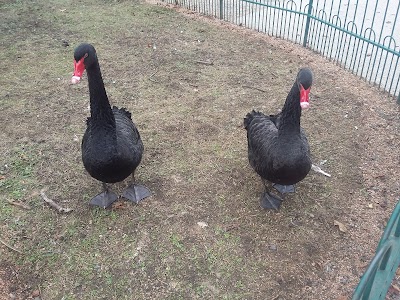 Photos of Pol Veterinary Services