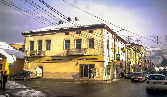 Banca Transilvania - Agentia Viseu De Sus