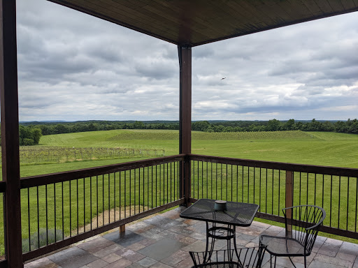 Weingarten Vineyard - Visual