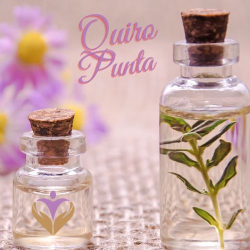 QUIRO PUNTA - Visual