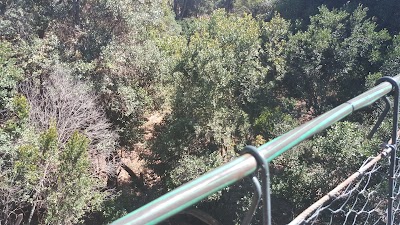 Photos of Ngare Dare Forest
