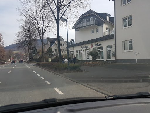 Flamingo Reisen - Thumbnail