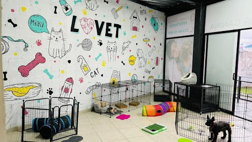 Clínica Veterinaria LOVET