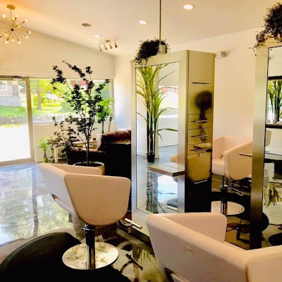 Fine Salon & Dry Bar