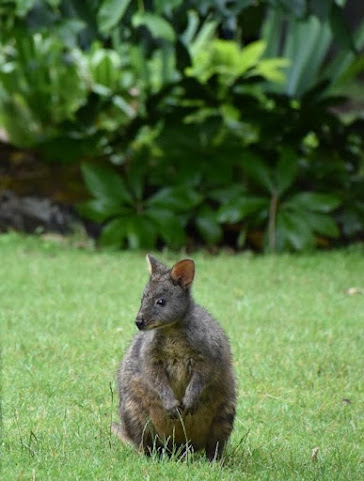 The Stable Lofts by null