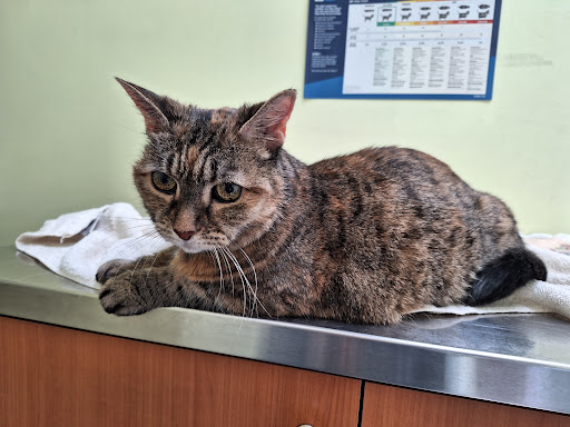 Hwy 401 Warden Pet Hospital