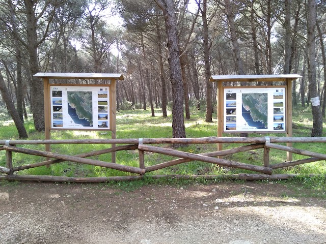 Parco Naturale Regionale di Porto Selvaggio e Palude del Capitano