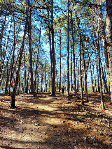 Friends Trail Loop Trailhead - Thumbnail