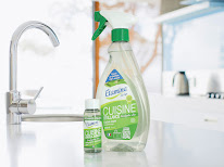 Etamine du lys à Somloire