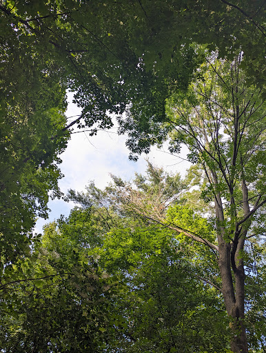 Voyageur Provincial Park - Iroquois Campground - Thumbnail