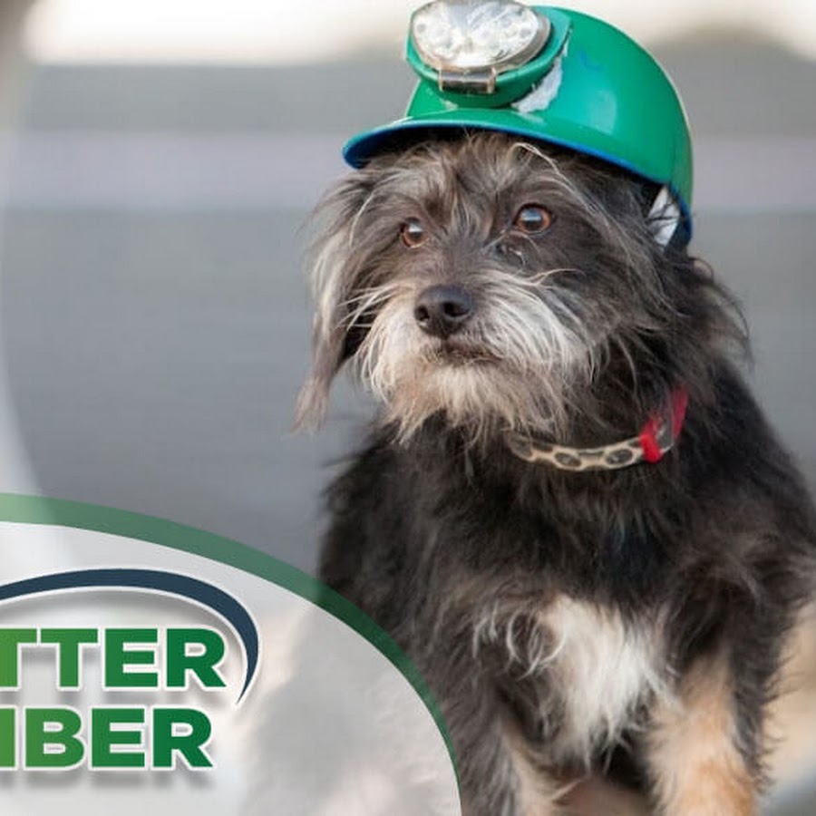 A Better Plumber (an Absolute Plumbing Company)