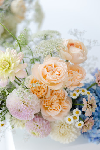 Bloomfield Flower Farm - Thumbnail