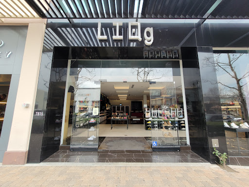 LIQ - Visual