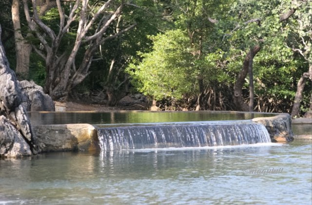 Maquinit Hot Spring